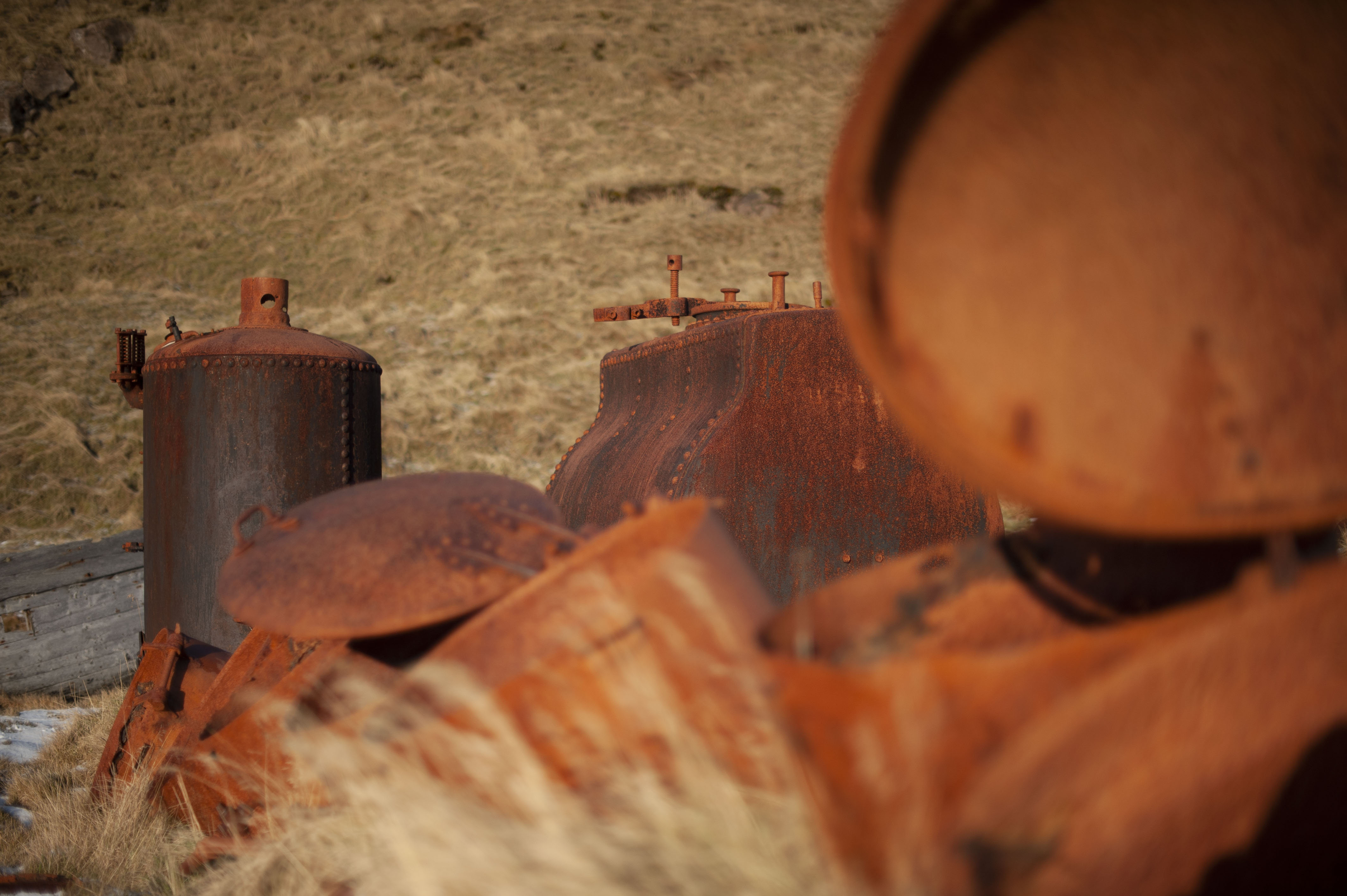 GYT 20220706 075400  DSC6616